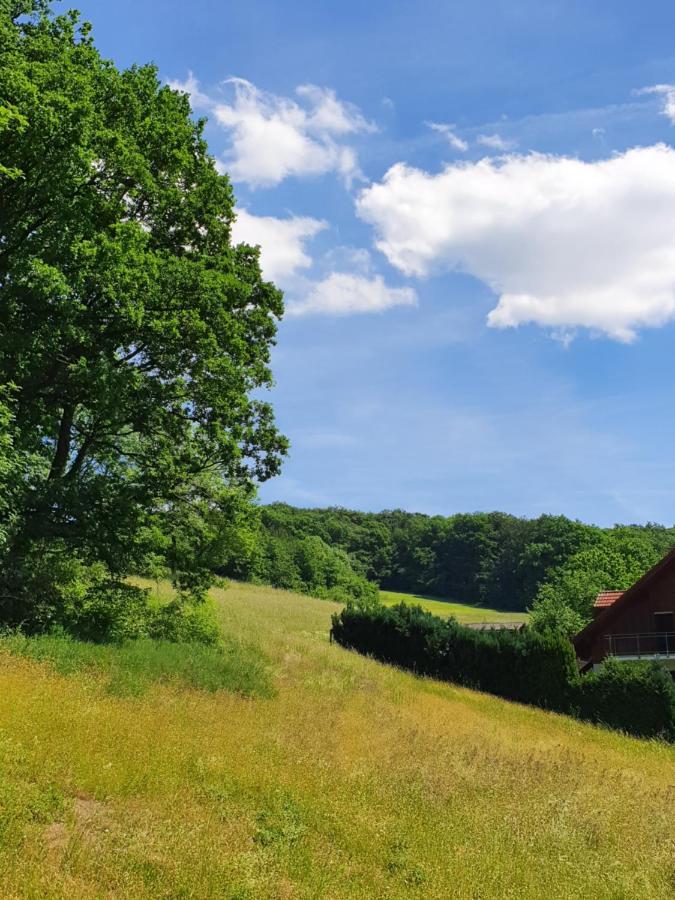 Odenwald-Lodge Mit Infrarotsauna Und E-Ladestation "Haus Purpur" Reichelsheim Eksteriør bilde