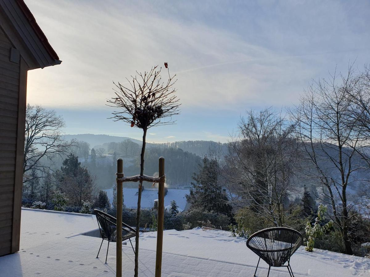 Odenwald-Lodge Mit Infrarotsauna Und E-Ladestation "Haus Purpur" Reichelsheim Eksteriør bilde