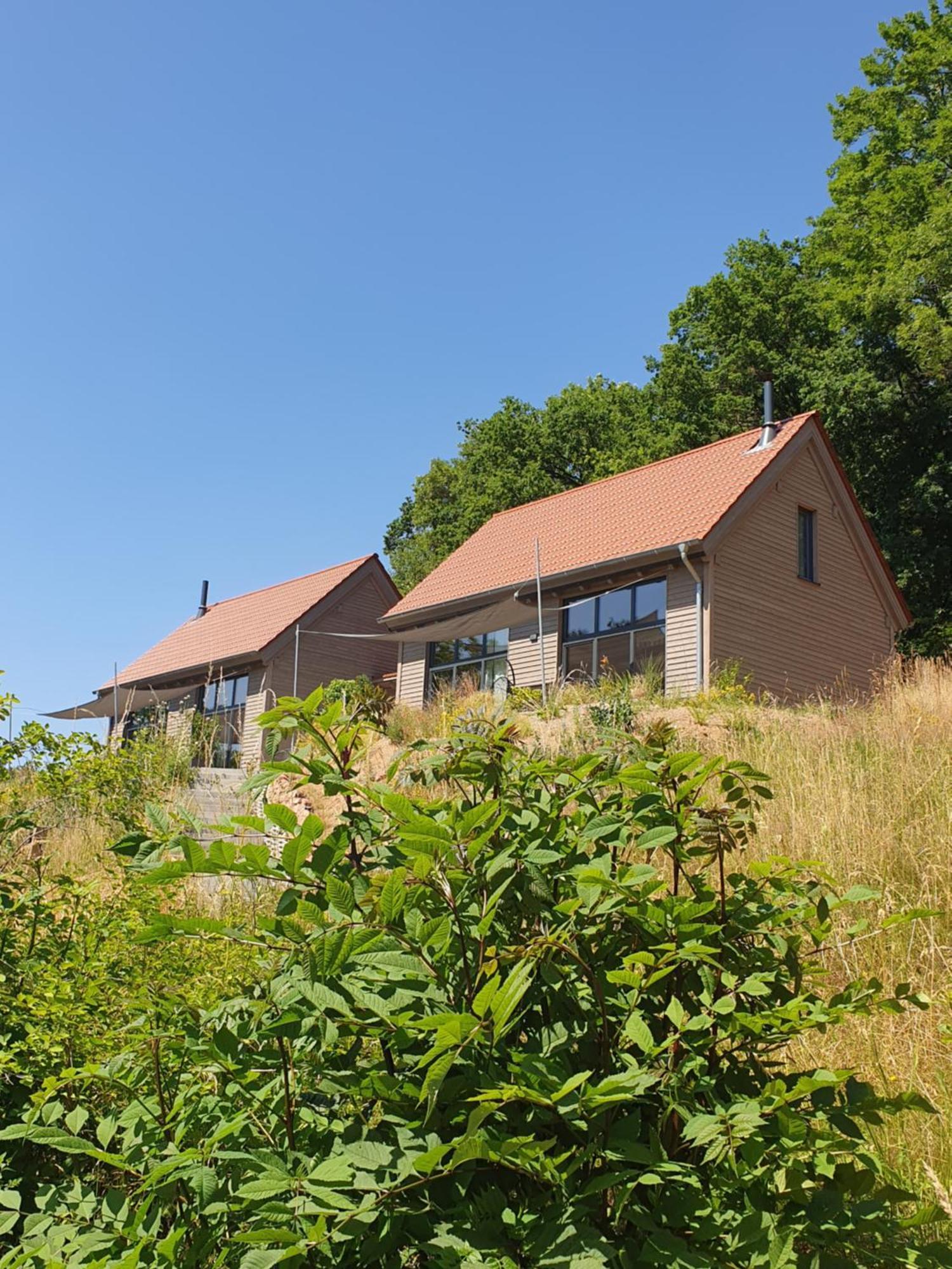 Odenwald-Lodge Mit Infrarotsauna Und E-Ladestation "Haus Purpur" Reichelsheim Eksteriør bilde