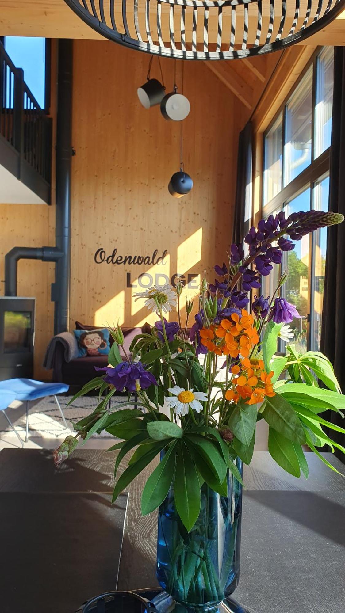 Odenwald-Lodge Mit Infrarotsauna Und E-Ladestation "Haus Purpur" Reichelsheim Eksteriør bilde