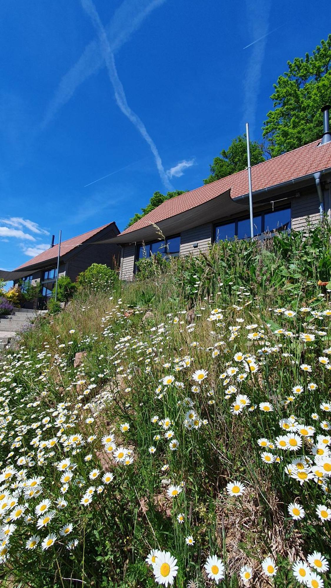 Odenwald-Lodge Mit Infrarotsauna Und E-Ladestation "Haus Purpur" Reichelsheim Eksteriør bilde